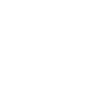 cropped-FLASH-FOTO-_-BRANCO.png